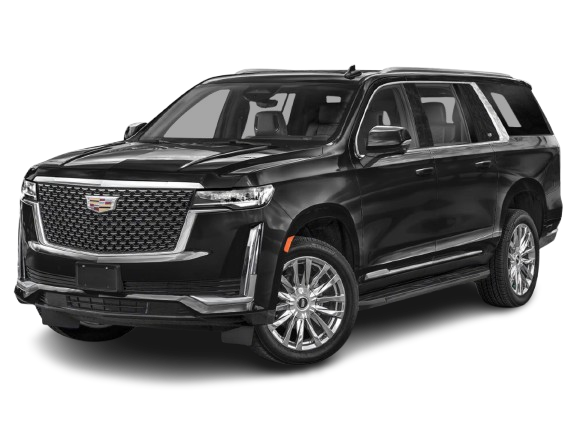 Luxury Vehicle Service